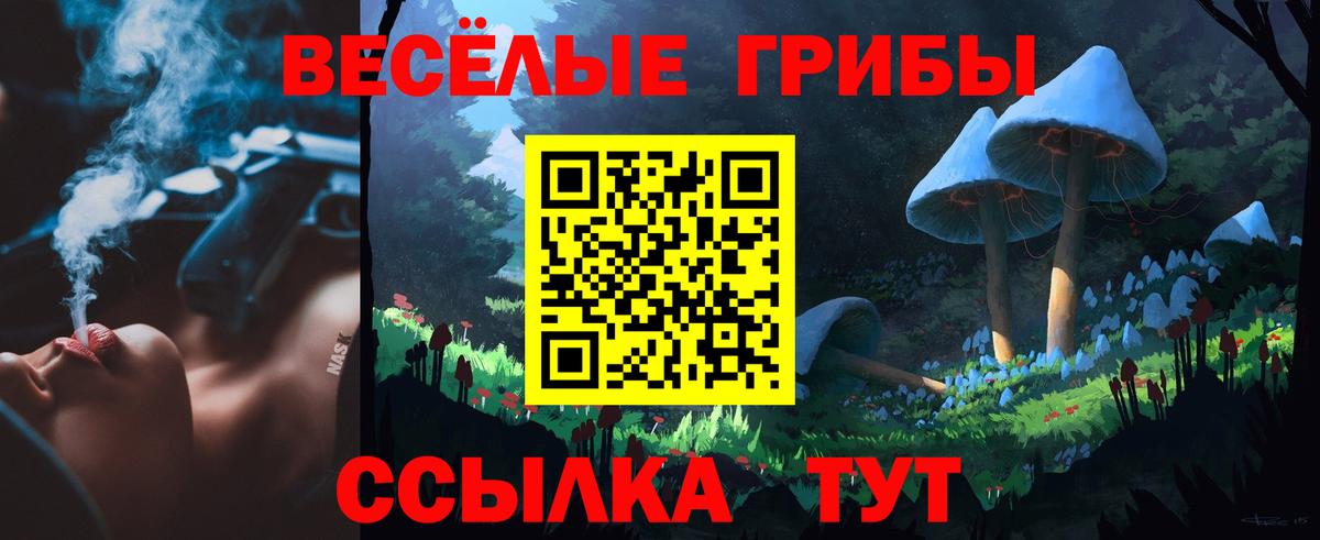 Псилоцибиновые грибы мицелий Белово