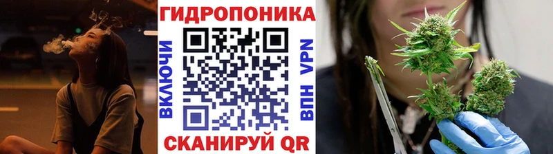 darknet наркотические препараты  Белово  Каннабис OG Kush 
